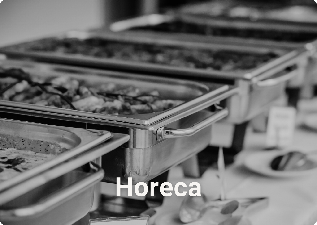horecaç